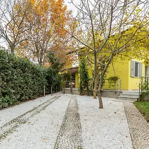 Twetty , Massaciuccoli Italia